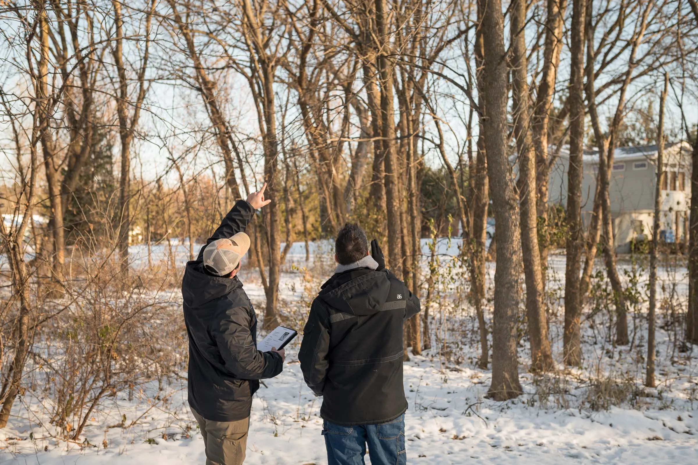 Emergency Tree Removal by Rise Tree Service