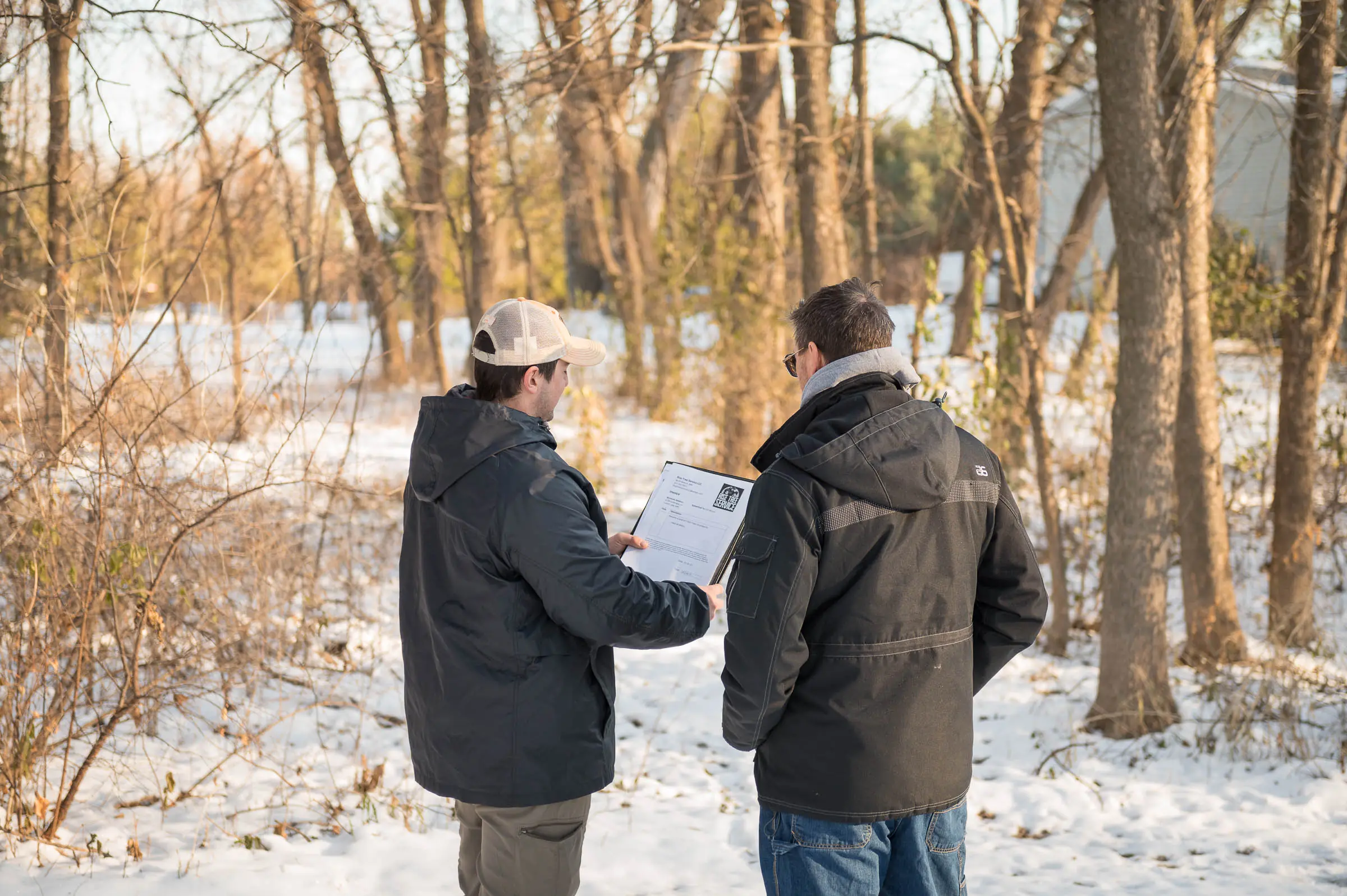 Professional_Tree_Removal_Service_by_Rise_Tree_Service Professional Tree Removal Service by "Rise Tree Service"