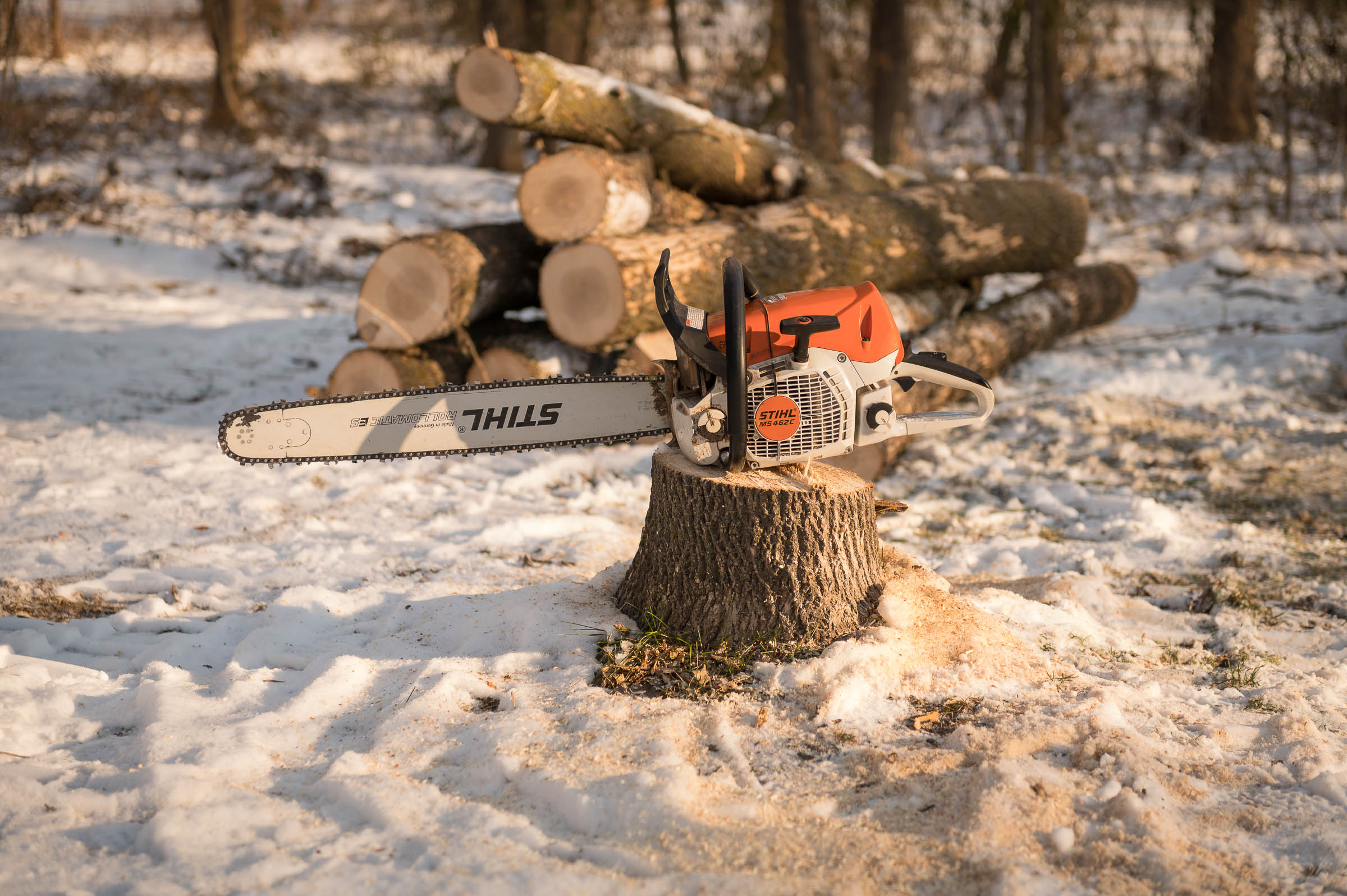 Tree Removal Service